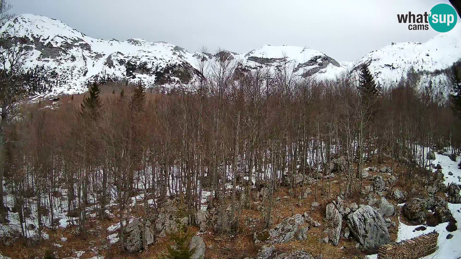 Cámara web PLANINA RAZOR (1315) | vista a Vogel y Globoko
