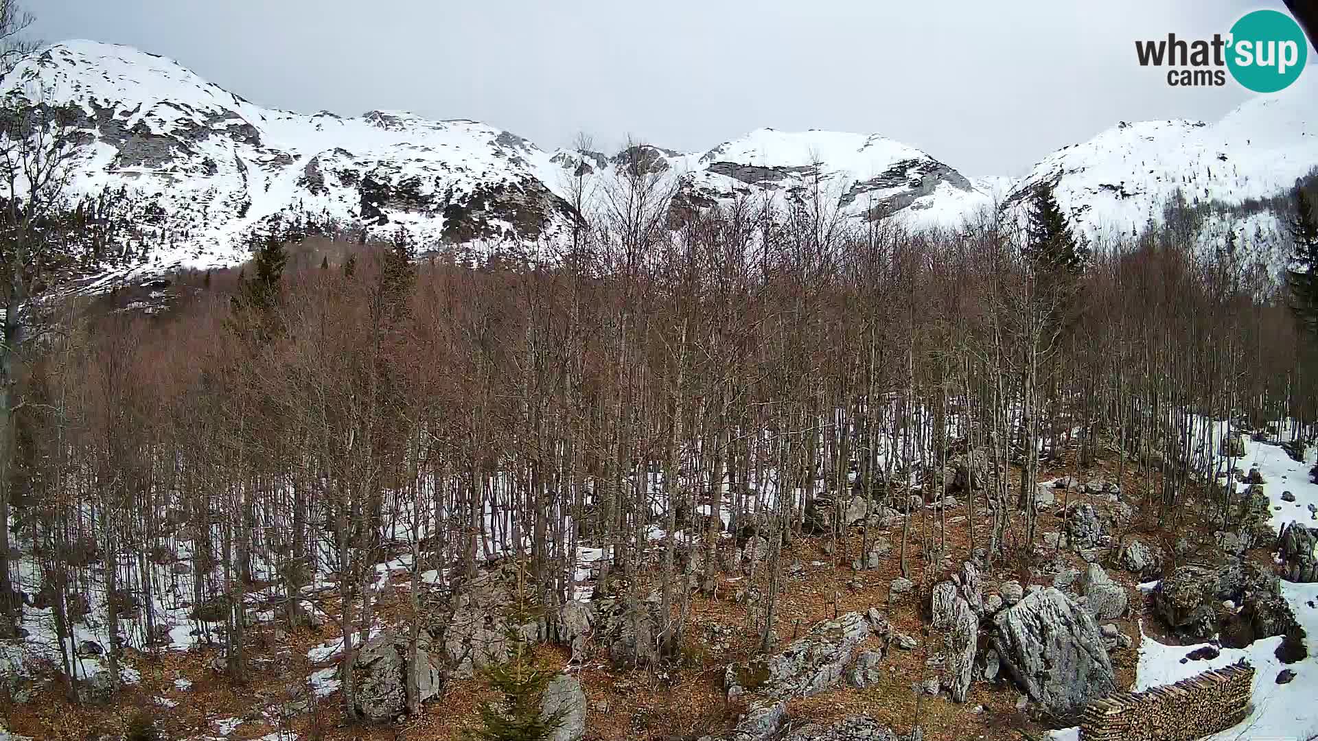 Livecam PLANINA RAZOR (1315) | vue sur Vogel et Globoko