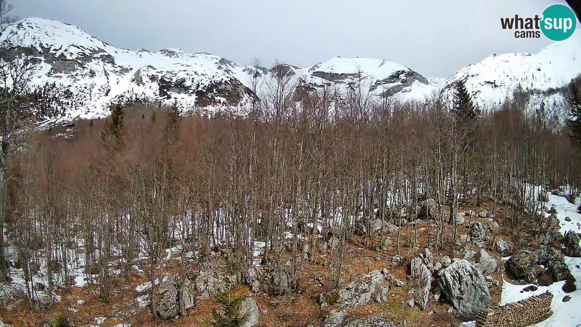 Cámara web PLANINA RAZOR (1315) | vista a Vogel y Globoko