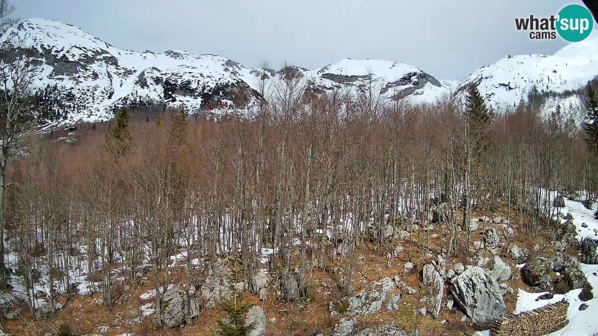 PLANINA RAZOR webcam (1315) | view to Vogel and Globoko