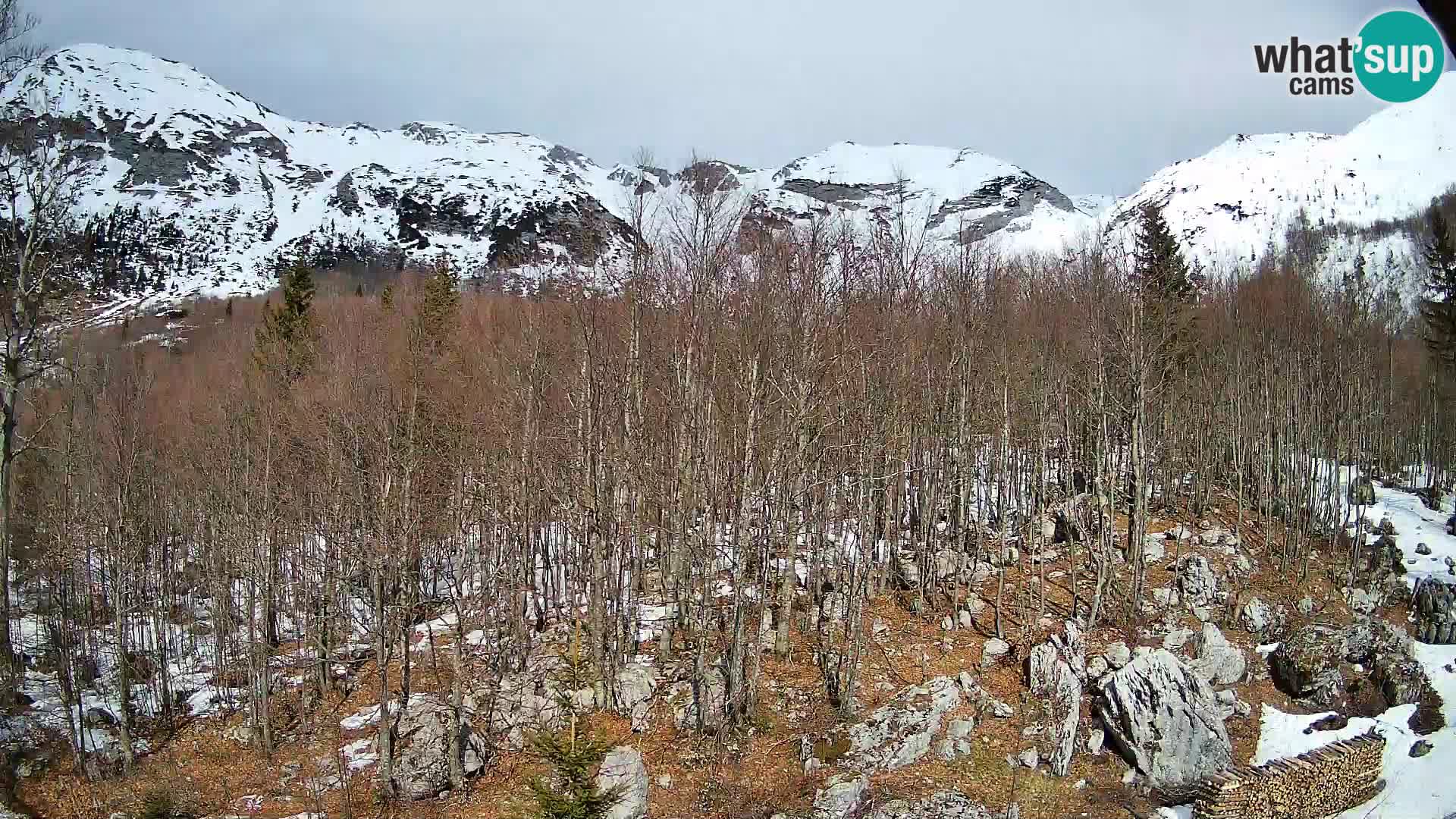 Cámara web PLANINA RAZOR (1315) | vista a Vogel y Globoko
