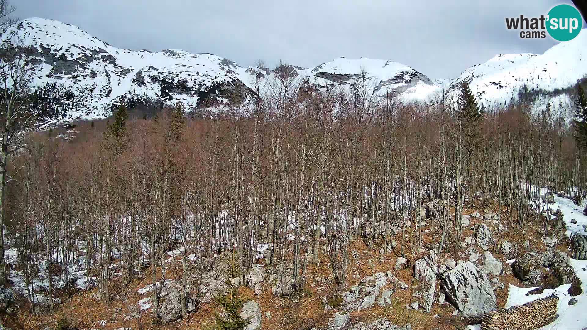 Cámara web PLANINA RAZOR (1315) | vista a Vogel y Globoko