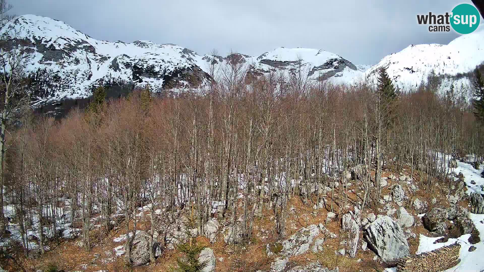 PLANINA RAZOR kamera (1315) | pogled na Vogel in Globoko