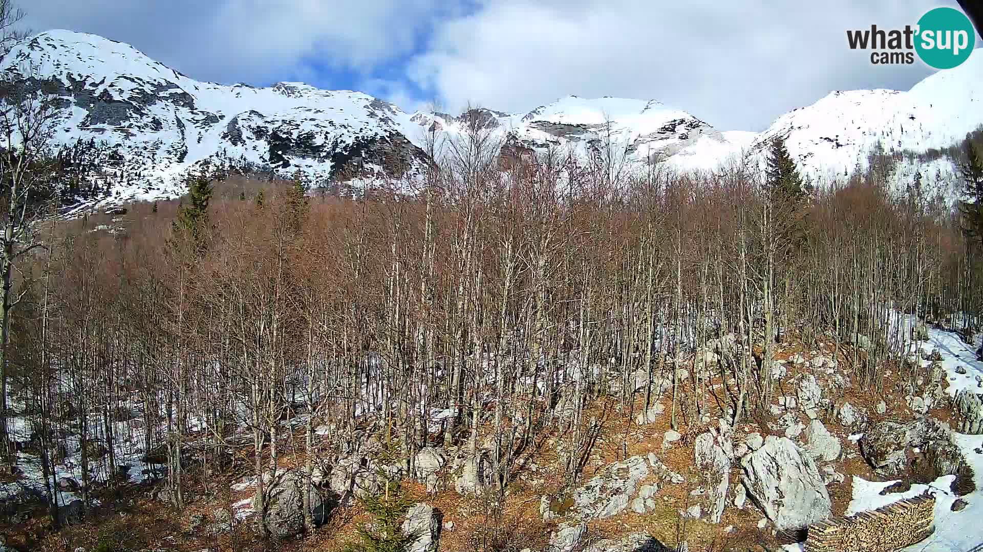 PLANINA RAZOR kamera (1315) | pogled na Vogel in Globoko