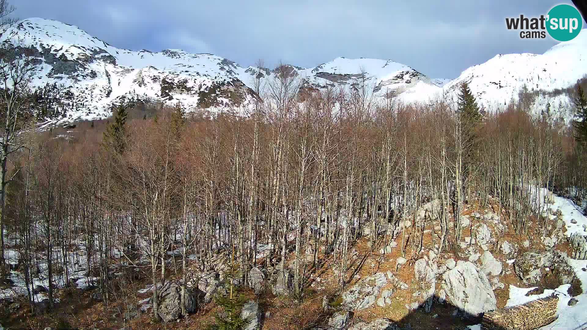 Livecam PLANINA RAZOR (1315) | vue sur Vogel et Globoko