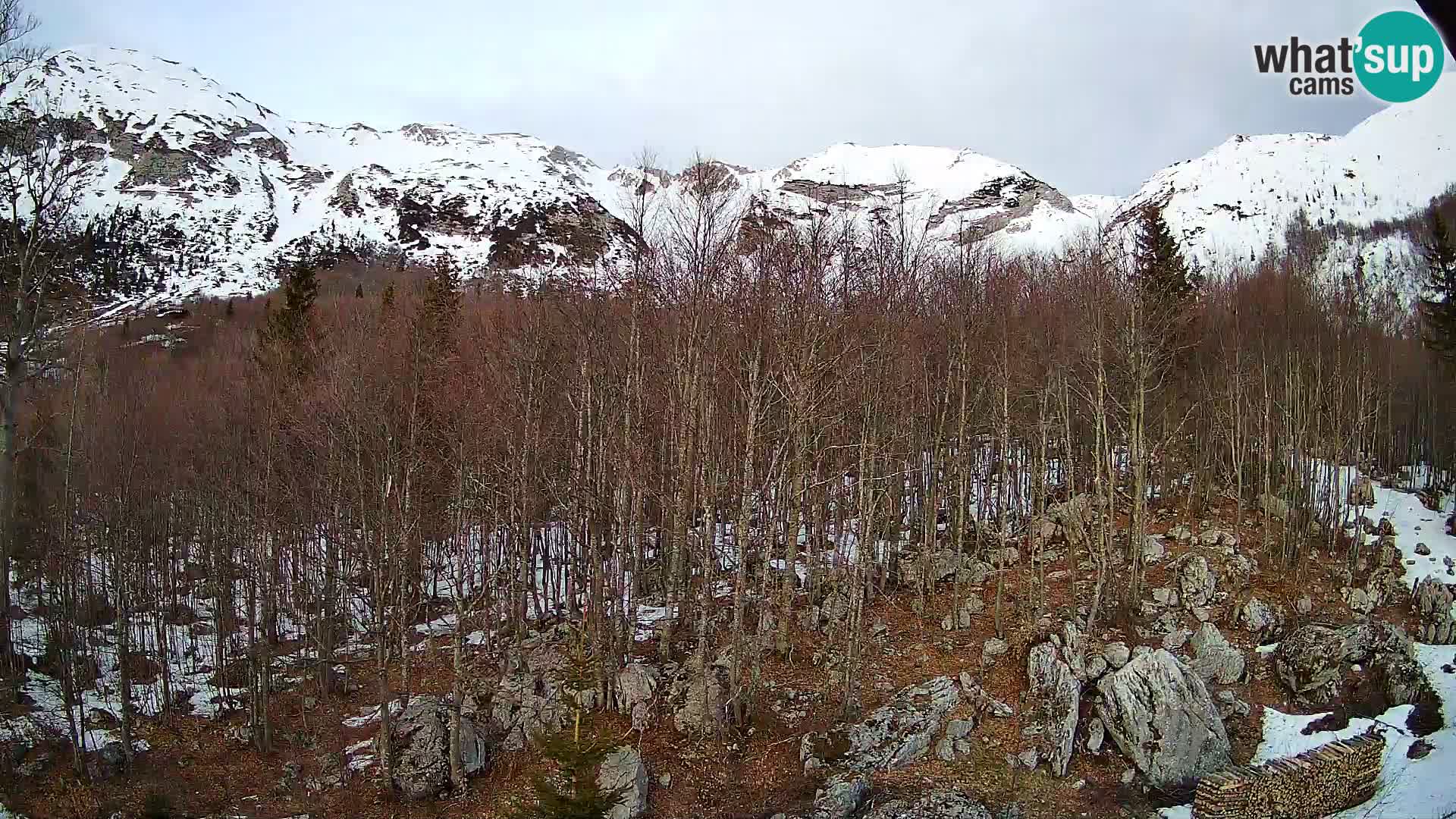 PLANINA RAZOR kamera (1315) | pogled na Vogel in Globoko