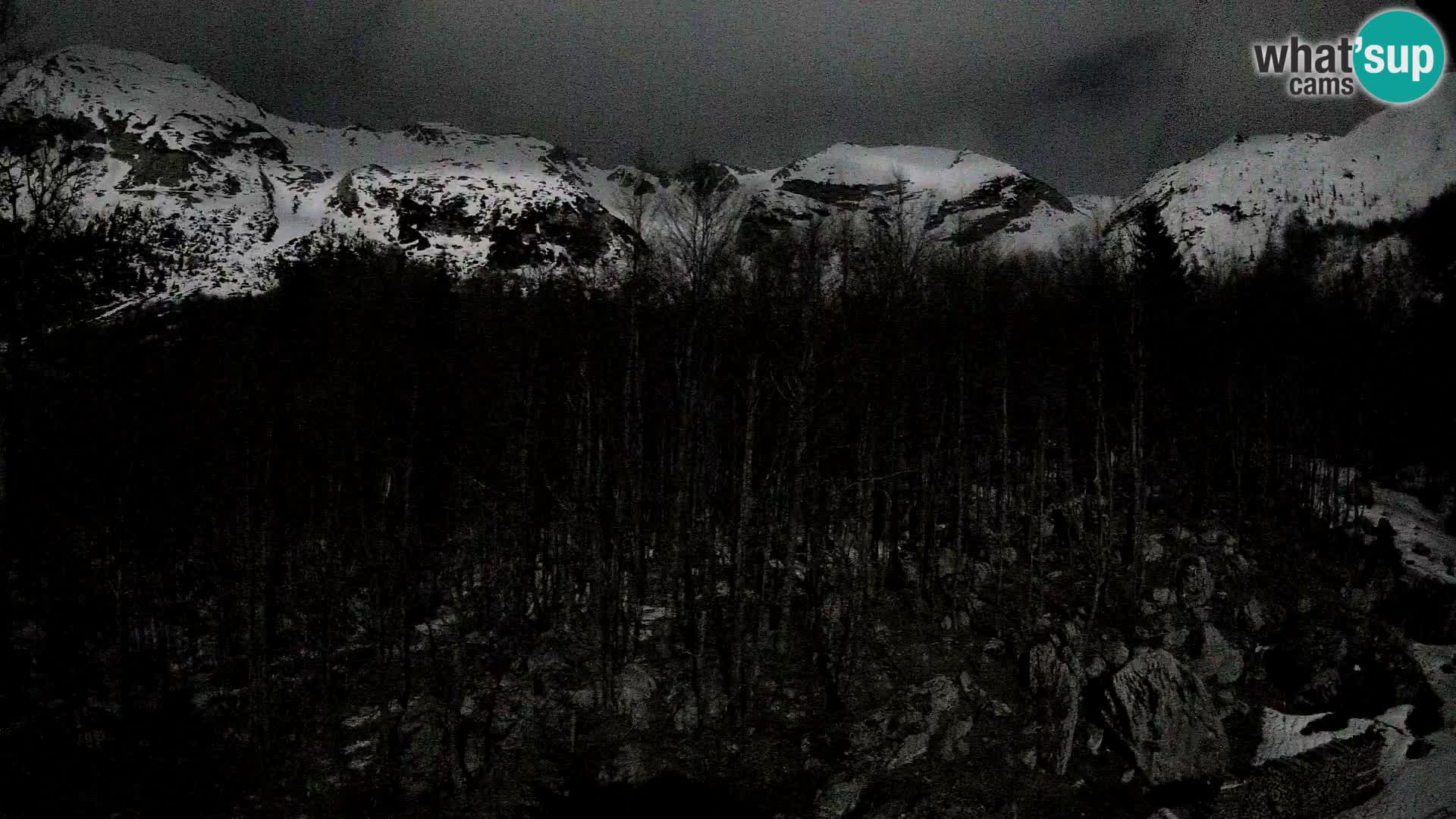 Livecam PLANINA RAZOR (1315) | vue sur Vogel et Globoko