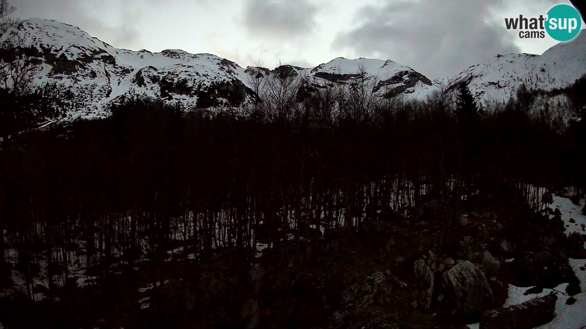 Livecam PLANINA RAZOR (1315) | vue sur Vogel et Globoko