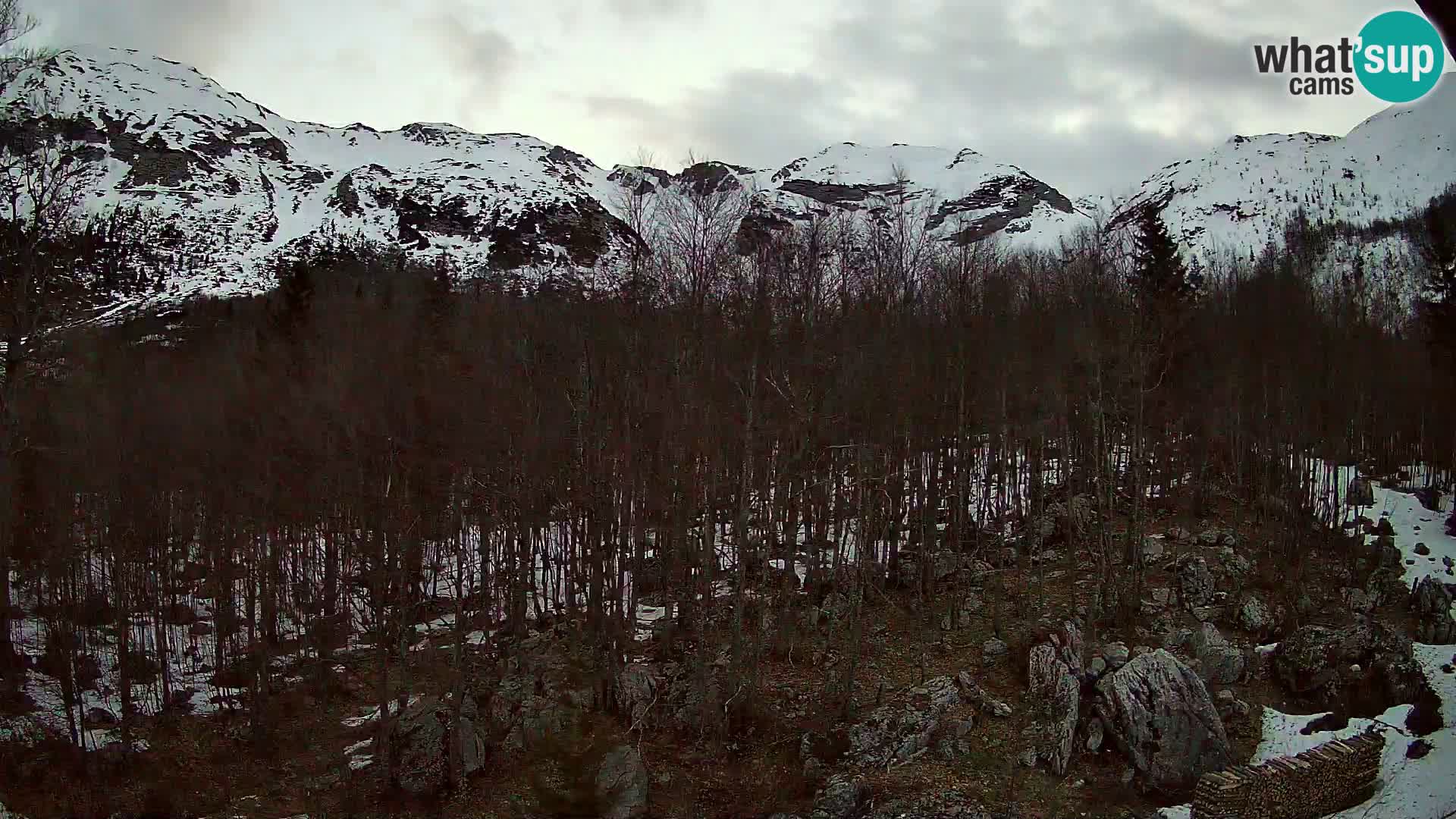 Livecam PLANINA RAZOR (1315) | vue sur Vogel et Globoko