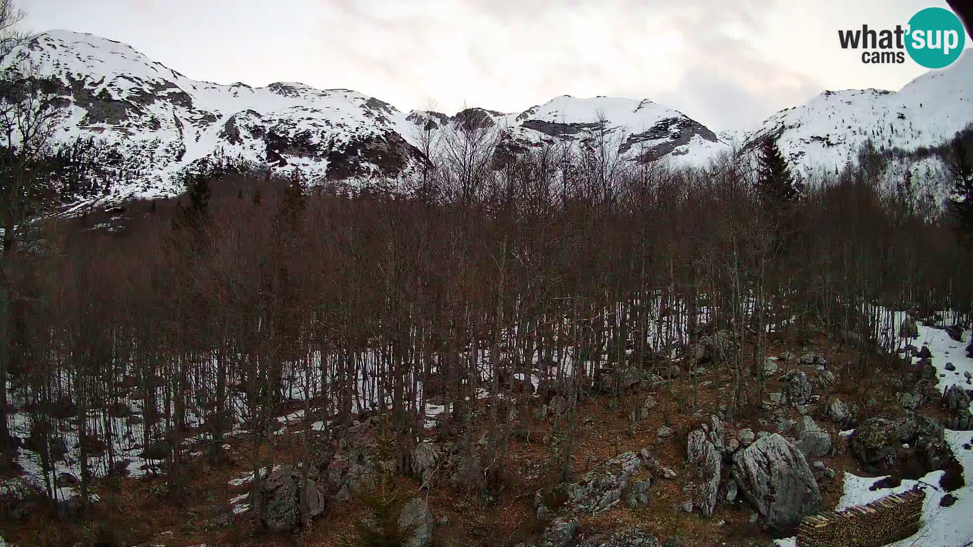 Cámara web PLANINA RAZOR (1315) | vista a Vogel y Globoko