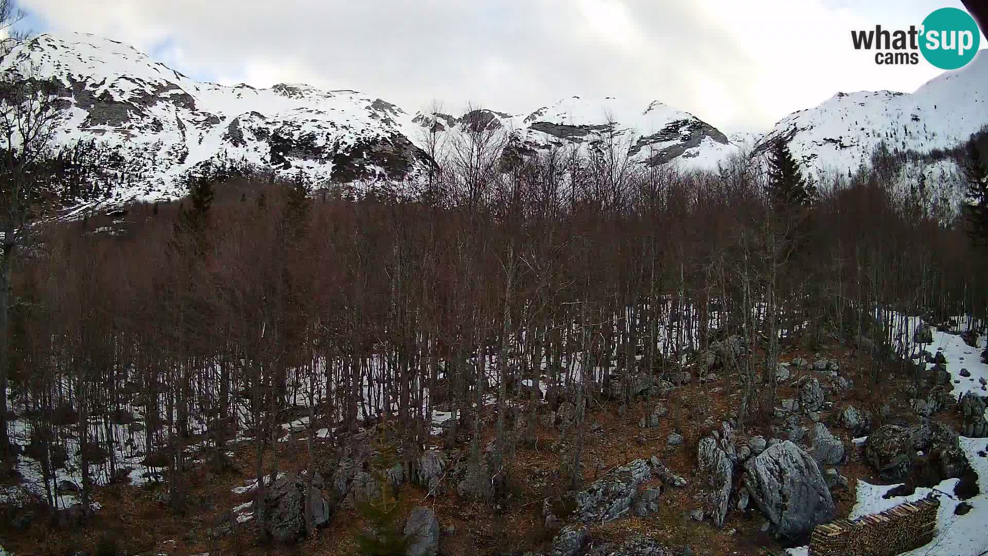 Livecam PLANINA RAZOR (1315) | vue sur Vogel et Globoko