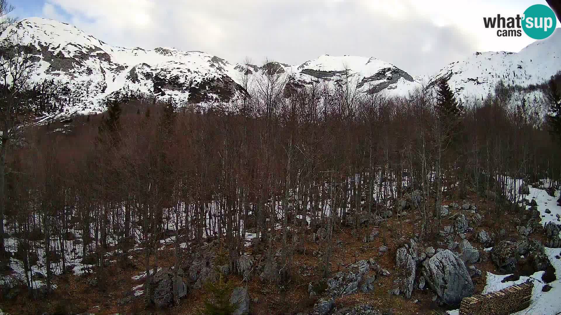 Cámara web PLANINA RAZOR (1315) | vista a Vogel y Globoko