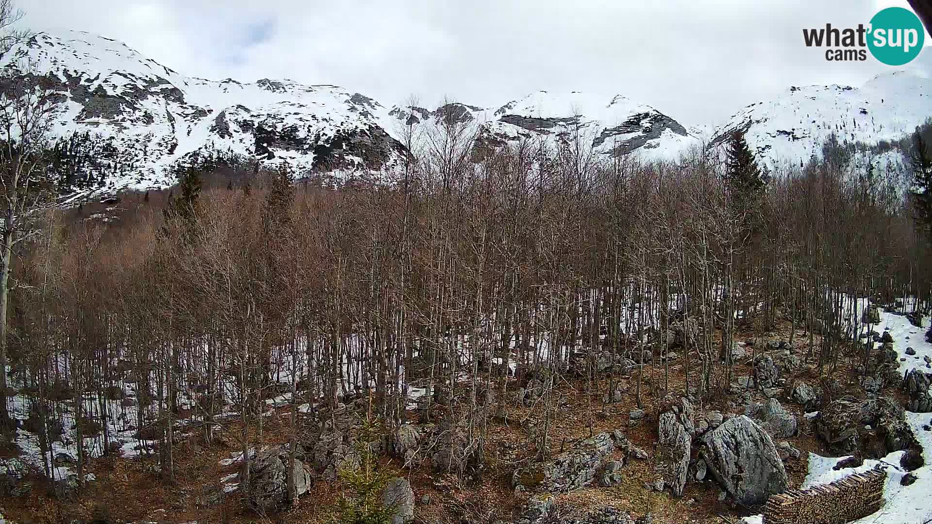 Livecam PLANINA RAZOR (1315) | vue sur Vogel et Globoko