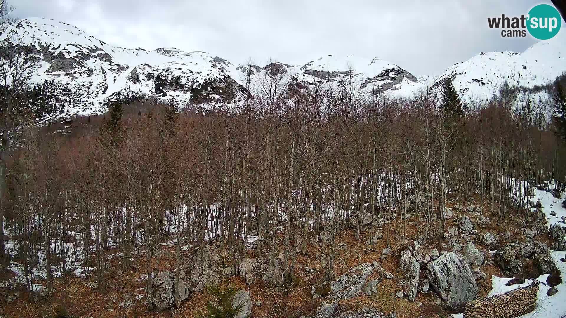Webcam PLANINA RAZOR (1315) | Blick auf Vogel und Globoko