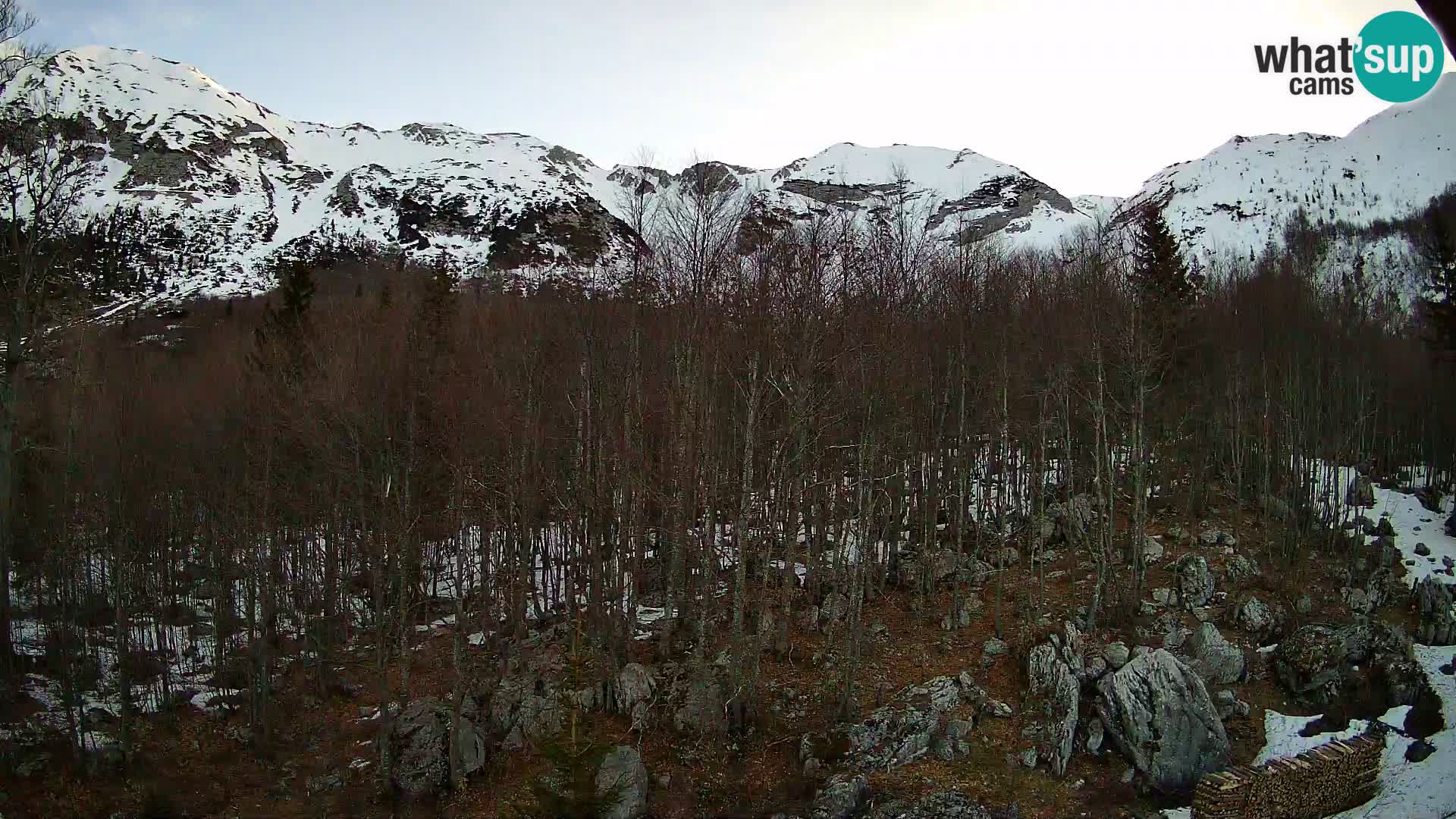 Cámara web PLANINA RAZOR (1315) | vista a Vogel y Globoko