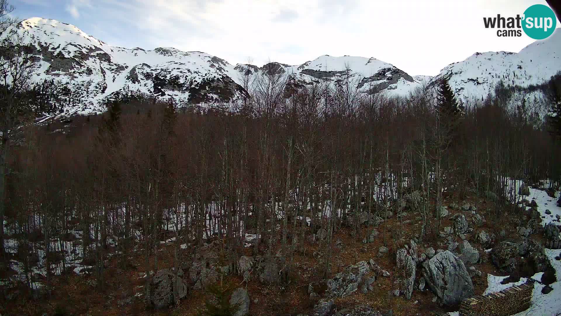 Livecam PLANINA RAZOR (1315) | vue sur Vogel et Globoko