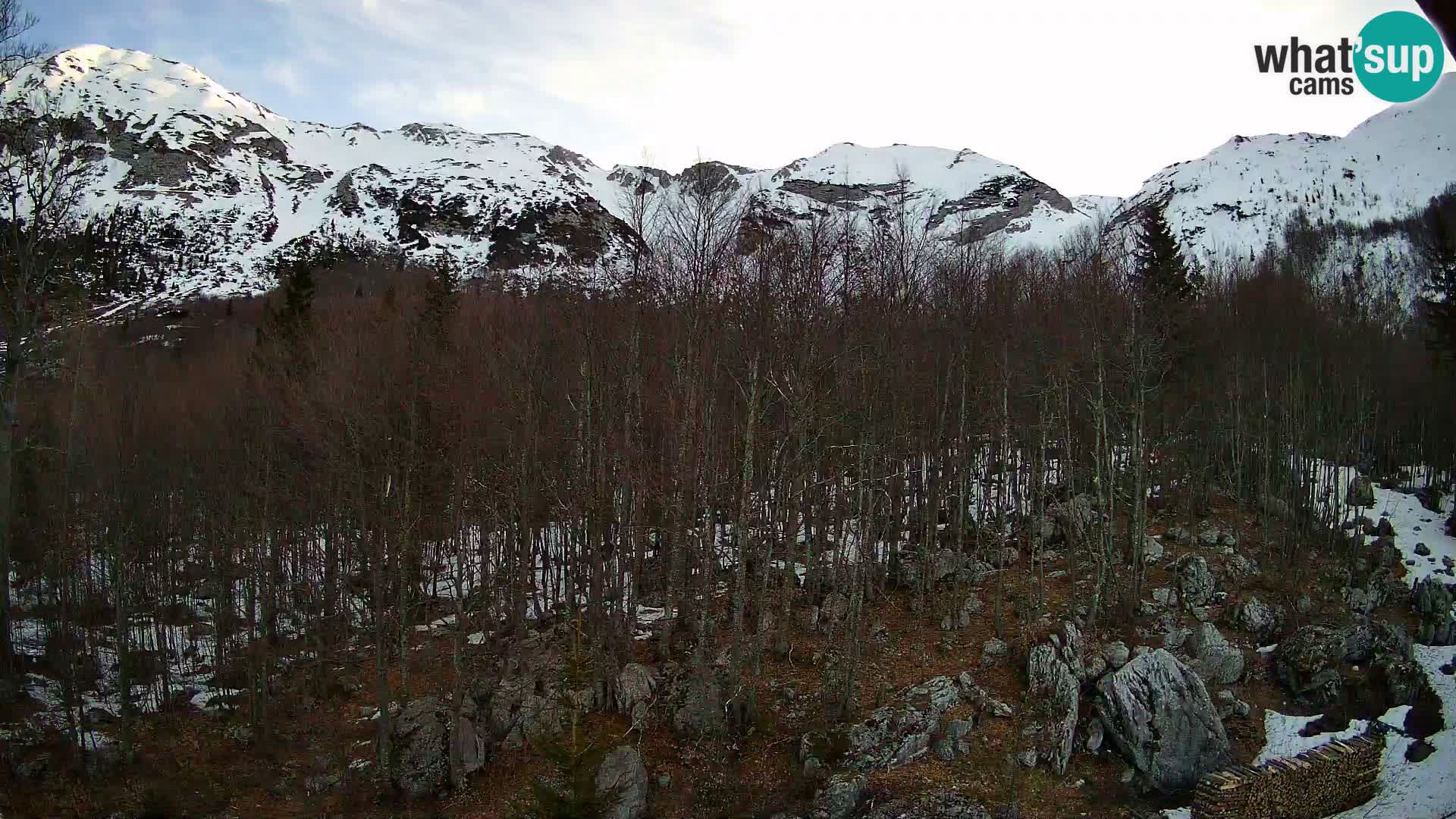 PLANINA RAZOR kamera (1315) | pogled na Vogel in Globoko