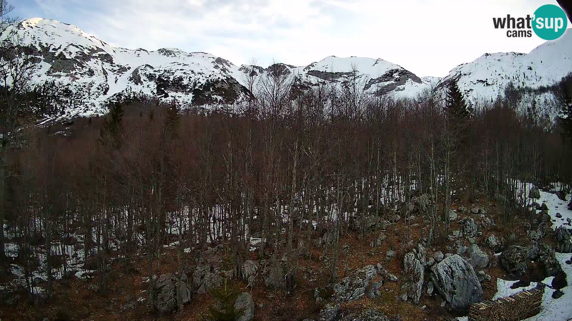 Webcam PLANINA RAZOR (1315) | Blick auf Vogel und Globoko