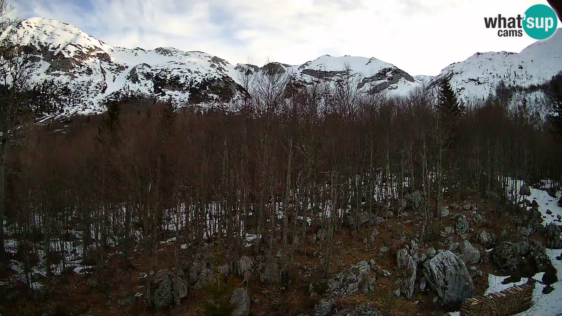 PLANINA RAZOR webcam (1315) | view to Vogel and Globoko