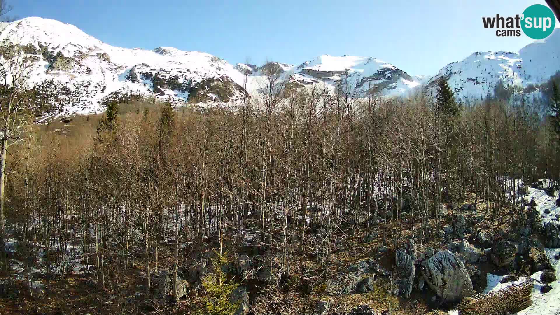 Livecam PLANINA RAZOR (1315) | vue sur Vogel et Globoko
