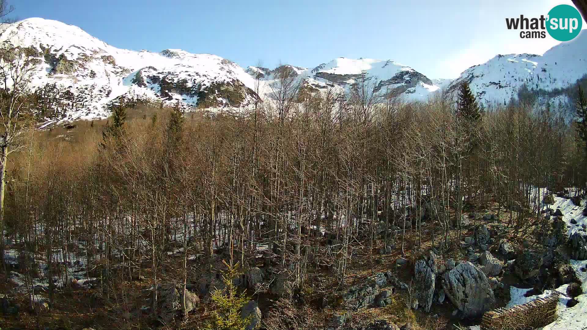 Livecam PLANINA RAZOR (1315) | vue sur Vogel et Globoko