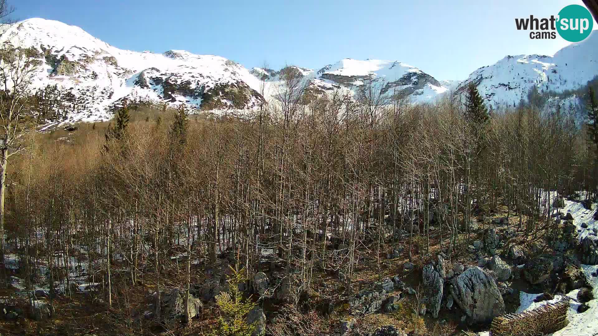 Webcam PLANINA RAZOR (1315) | Blick auf Vogel und Globoko