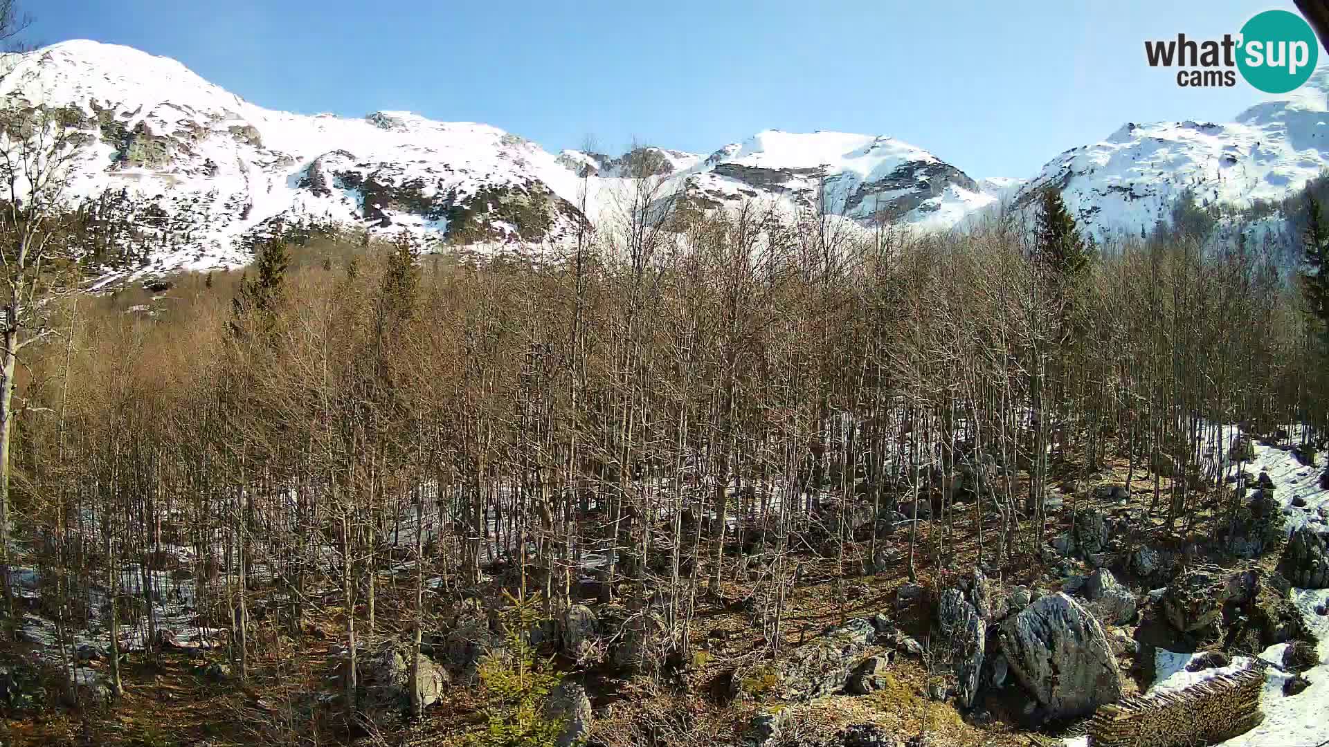 PLANINA RAZOR webcam (1315) | view to Vogel and Globoko