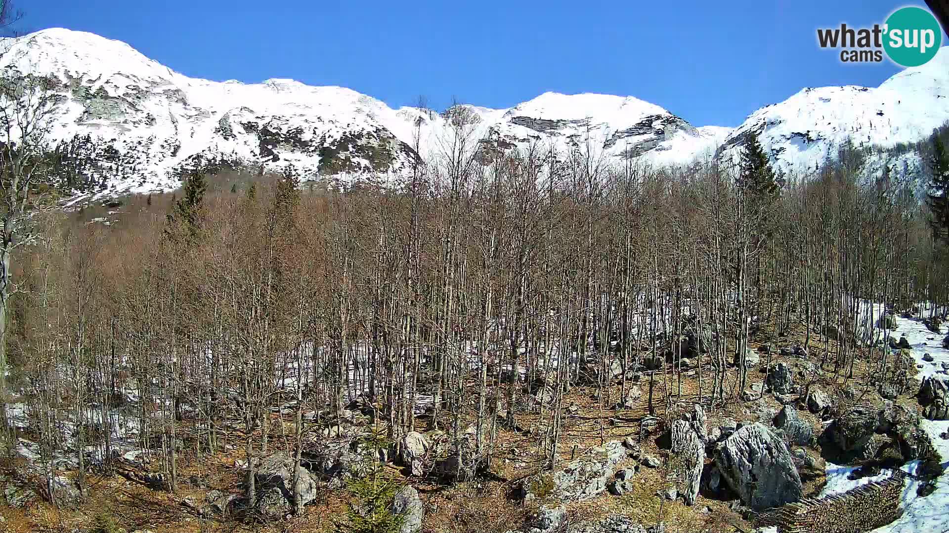 PLANINA RAZOR webcam (1315) | view to Vogel and Globoko