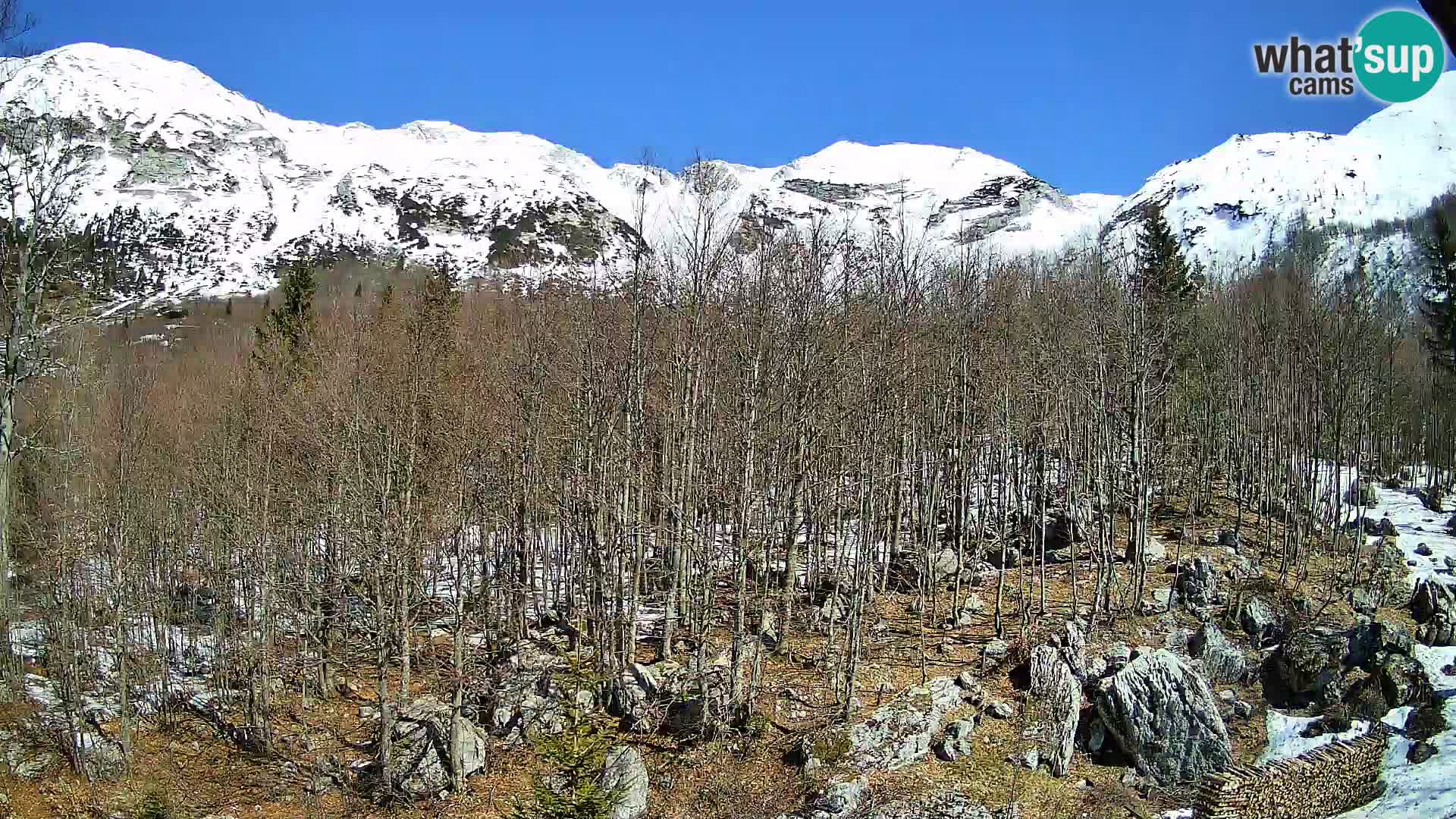 PLANINA RAZOR webcam (1315) | view to Vogel and Globoko