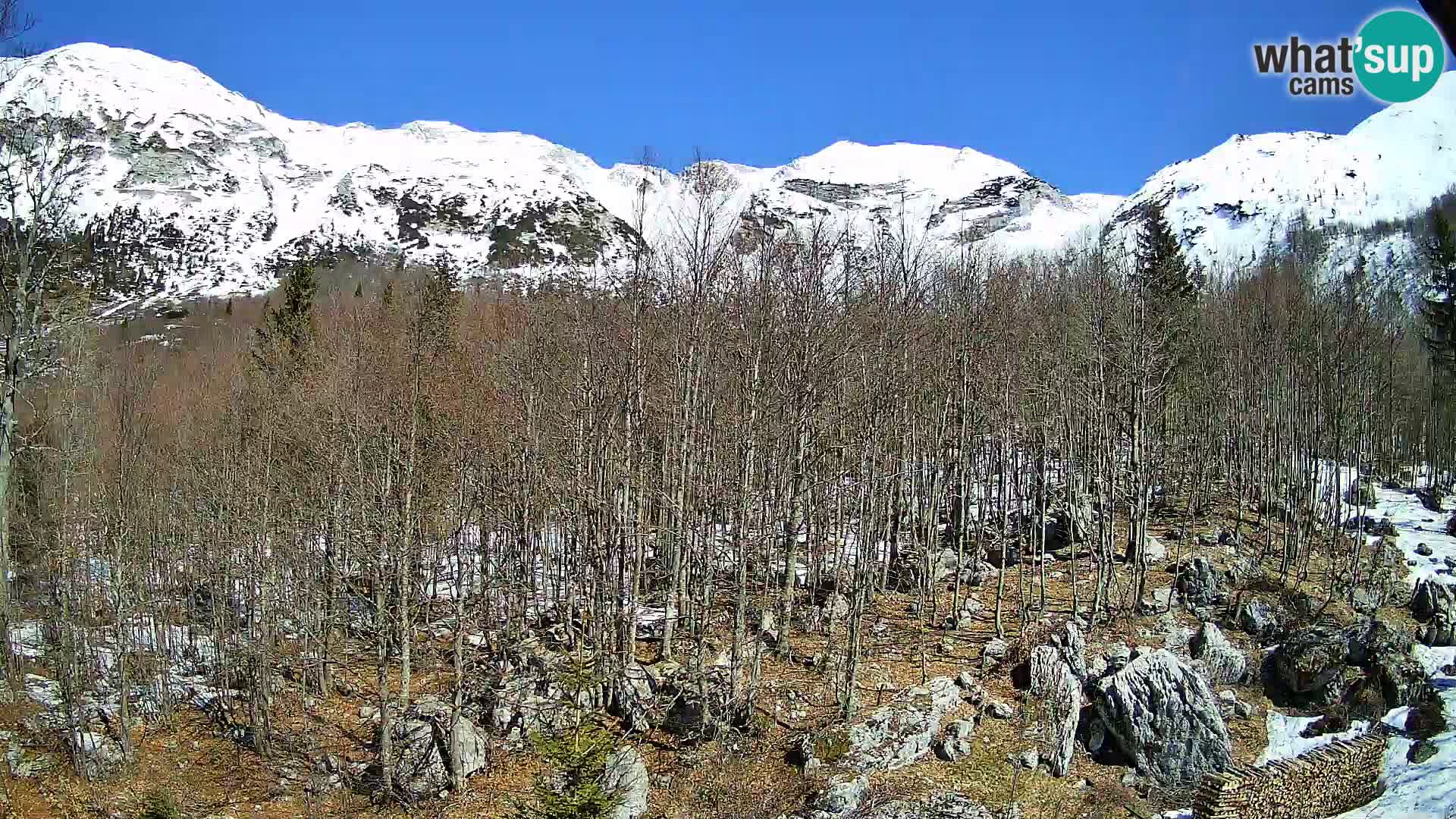 PLANINA RAZOR webcam (1315) | view to Vogel and Globoko