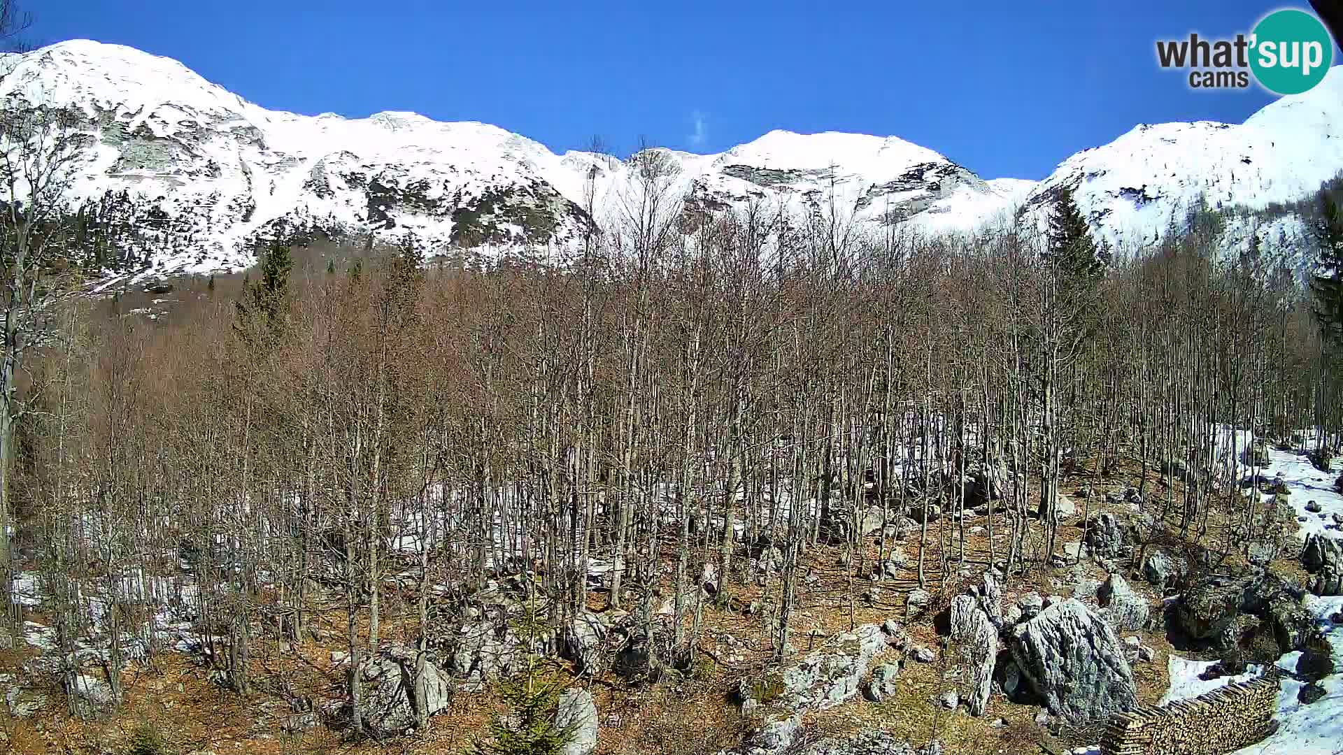 Cámara web PLANINA RAZOR (1315) | vista a Vogel y Globoko