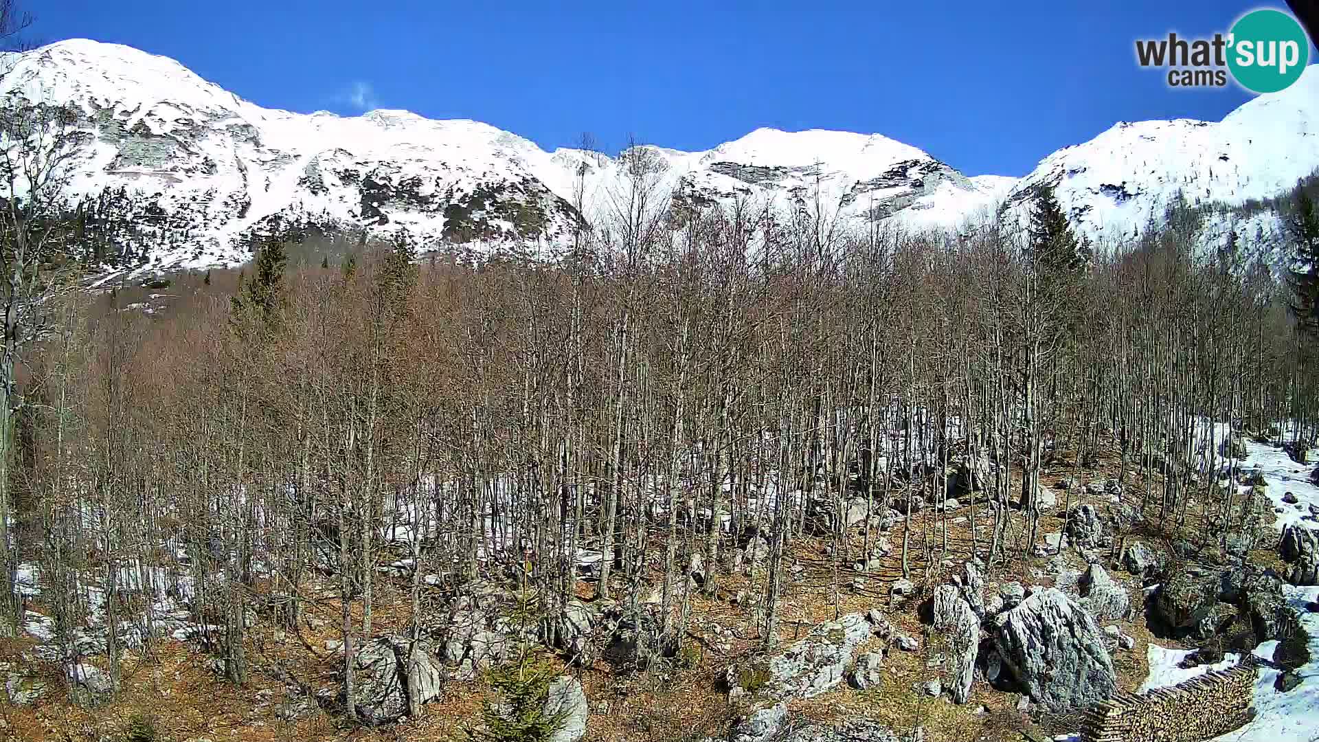 Webcam PLANINA RAZOR (1315) | Blick auf Vogel und Globoko