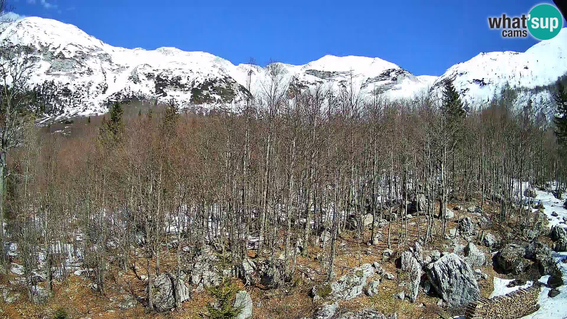 PLANINA RAZOR Live Cam (1315) | vista su Vogel e Globoko