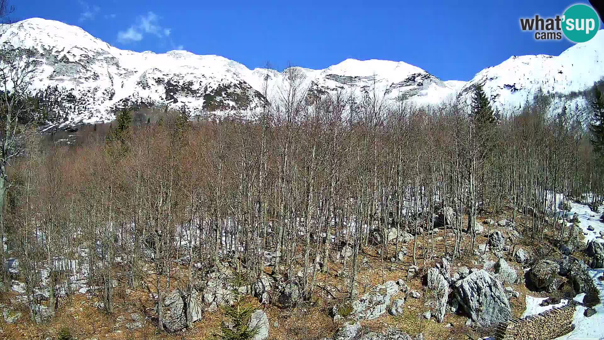 Livecam PLANINA RAZOR (1315) | vue sur Vogel et Globoko