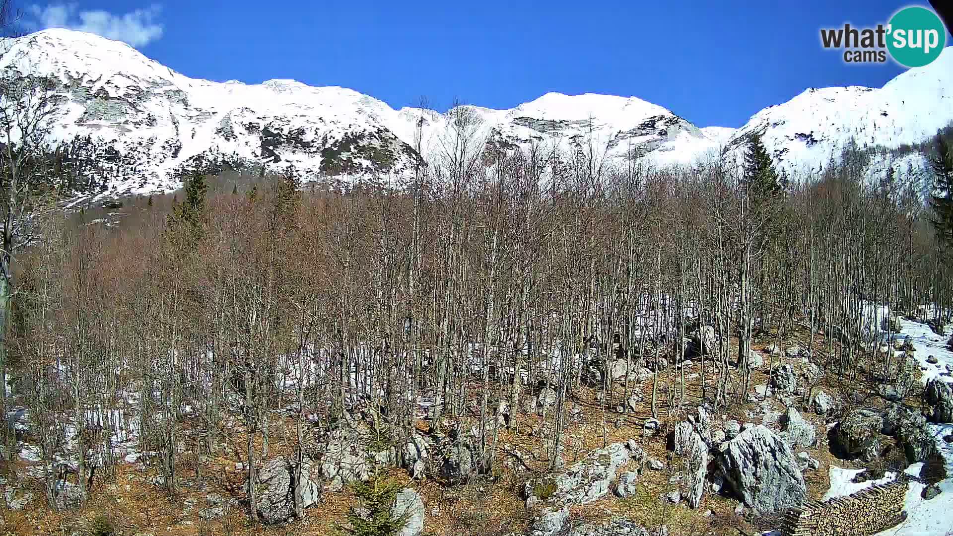 PLANINA RAZOR web kamera (1315) | pogled na Vogel i Globoko