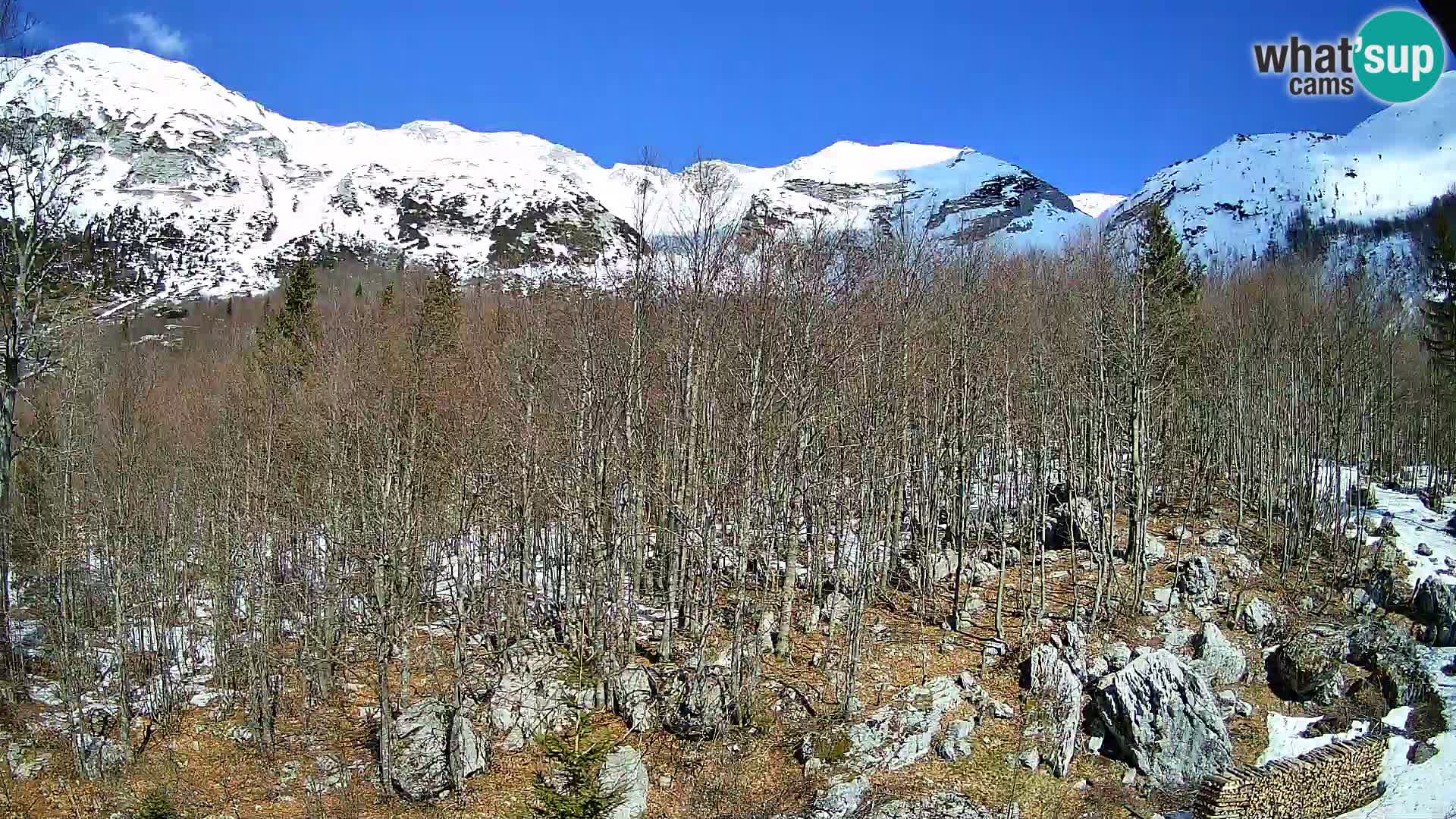 PLANINA RAZOR kamera (1315) | pogled na Vogel in Globoko