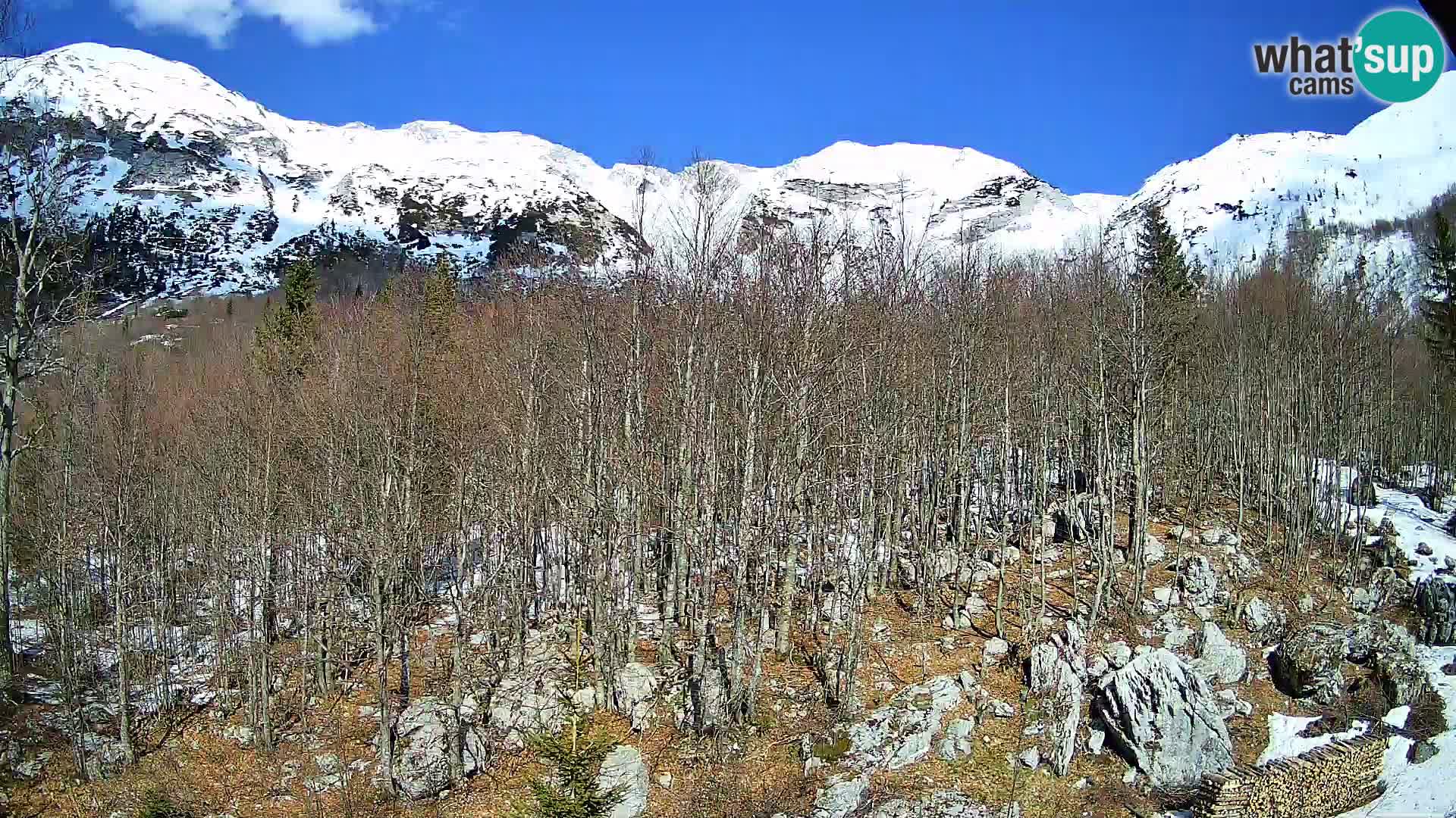 PLANINA RAZOR web kamera (1315) | pogled na Vogel i Globoko