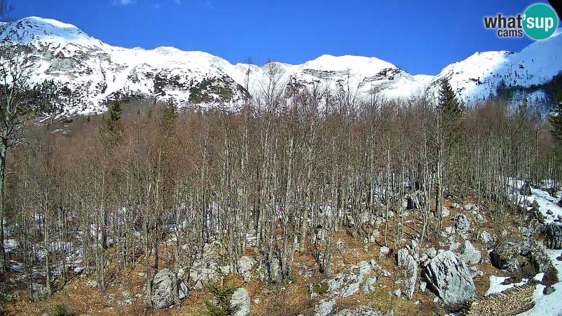 Cámara web PLANINA RAZOR (1315) | vista a Vogel y Globoko