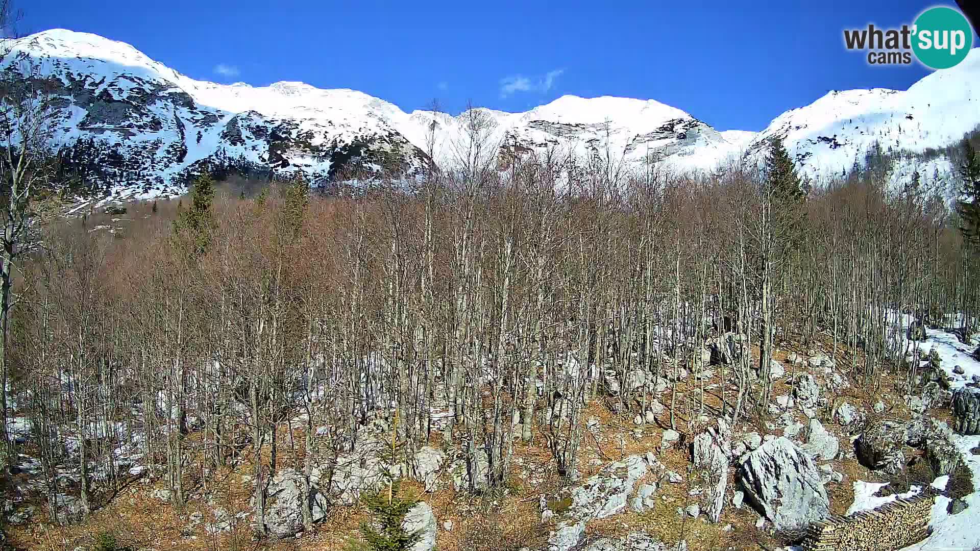 Webcam PLANINA RAZOR (1315) | Blick auf Vogel und Globoko