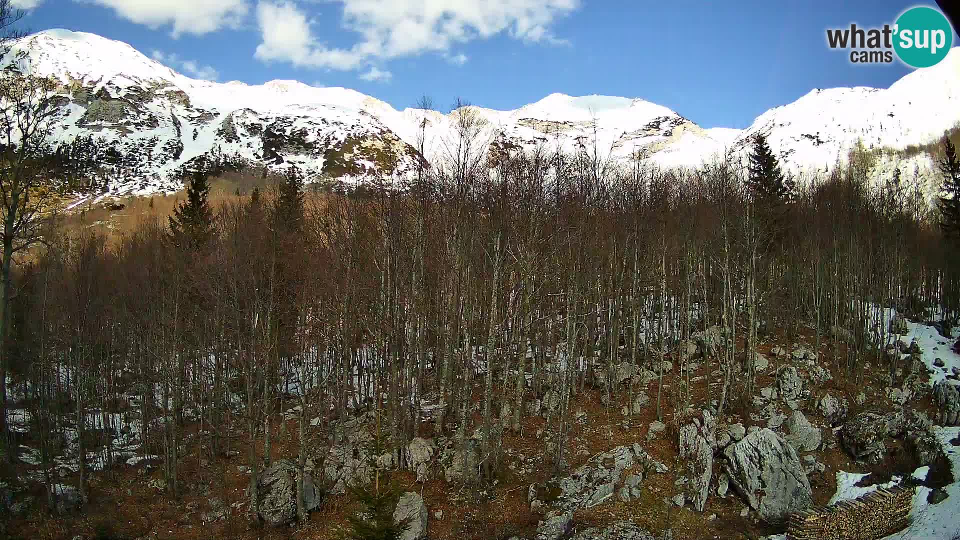PLANINA RAZOR web kamera (1315) | pogled na Vogel i Globoko