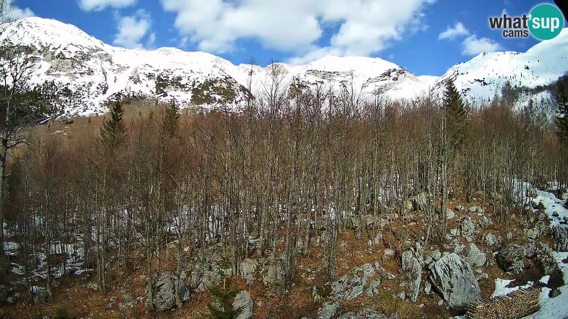 Livecam PLANINA RAZOR (1315) | vue sur Vogel et Globoko