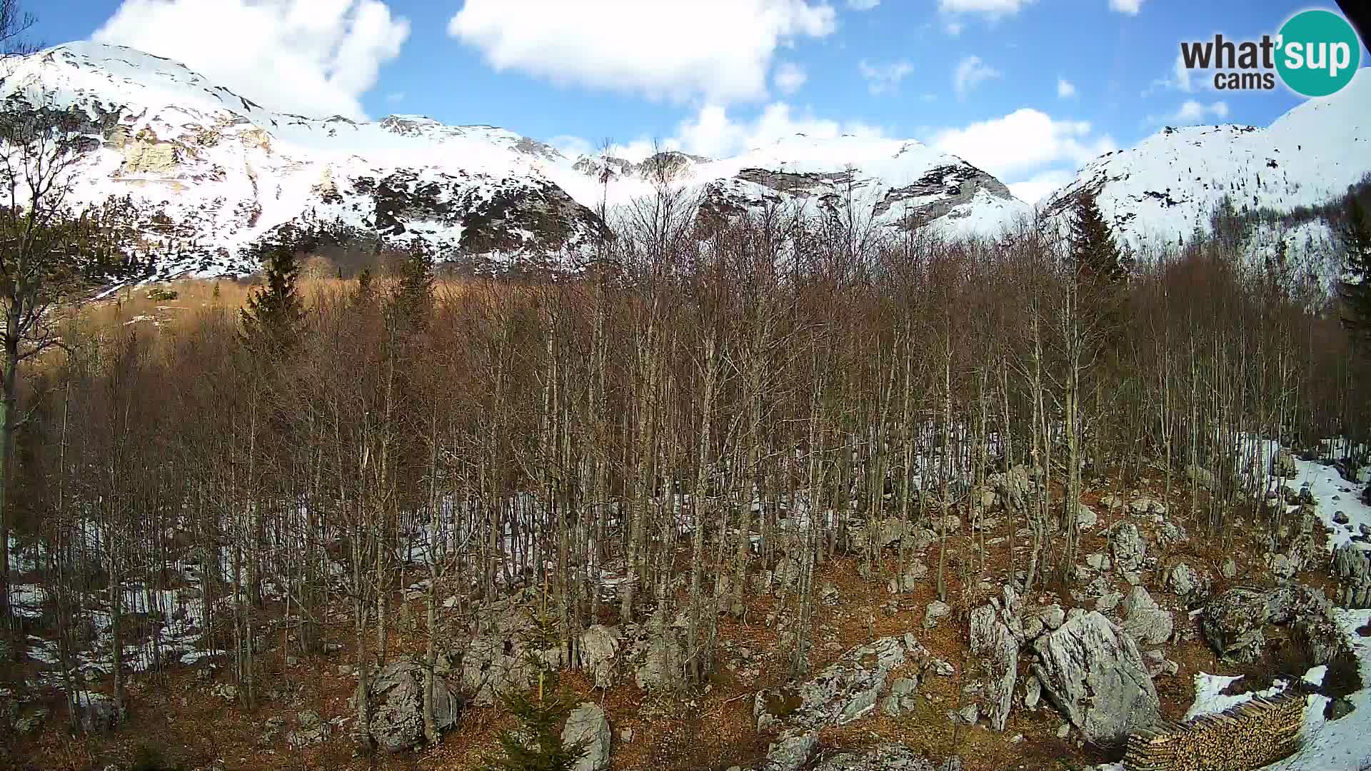 PLANINA RAZOR kamera (1315) | pogled na Vogel in Globoko