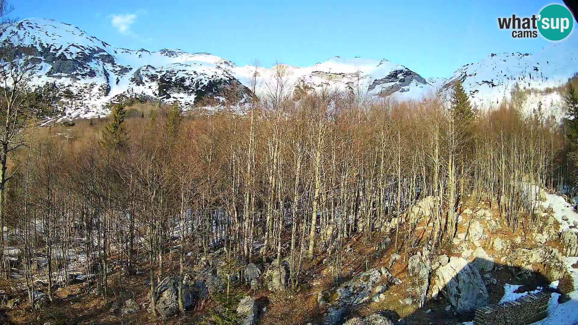 Webcam PLANINA RAZOR (1315) | Blick auf Vogel und Globoko