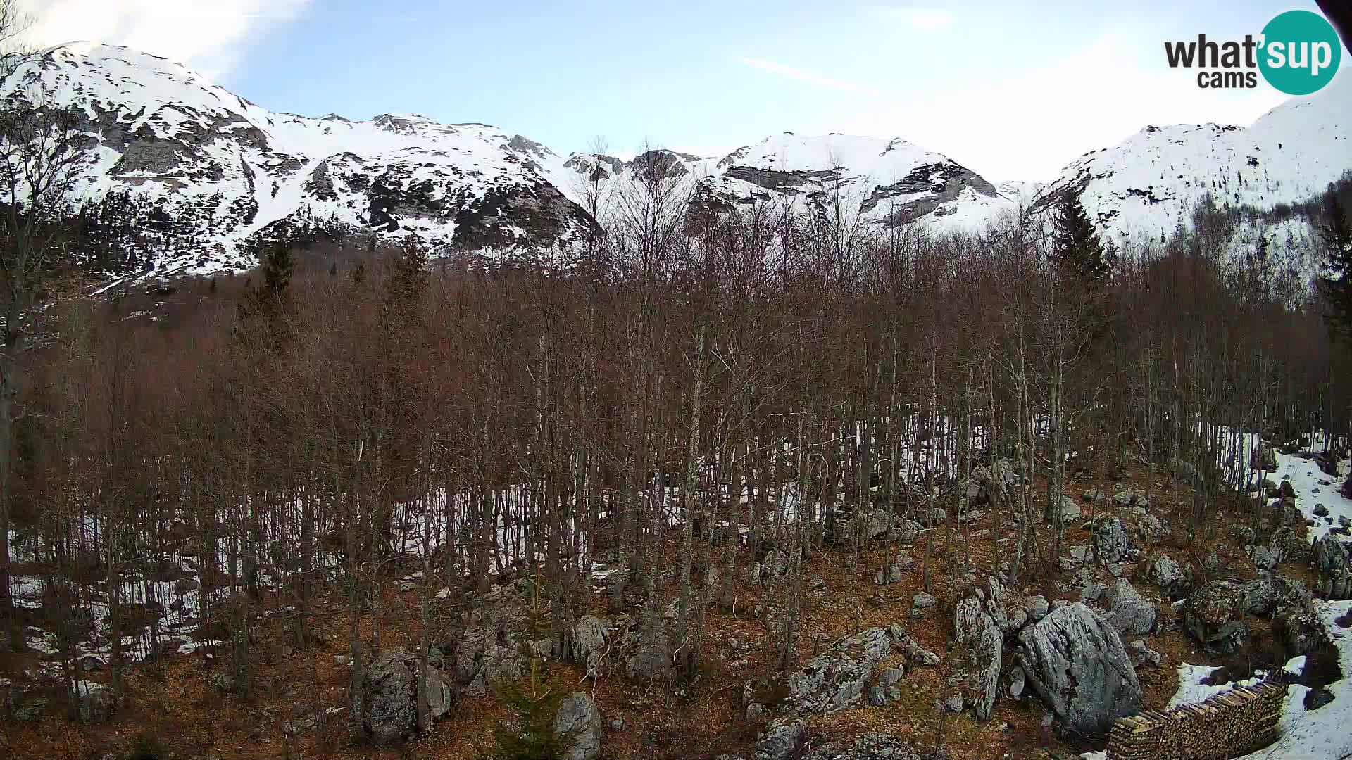 PLANINA RAZOR Live Cam (1315) | vista su Vogel e Globoko