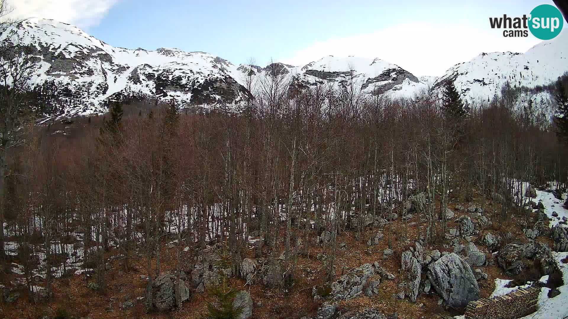 PLANINA RAZOR webcam (1315) | view to Vogel and Globoko