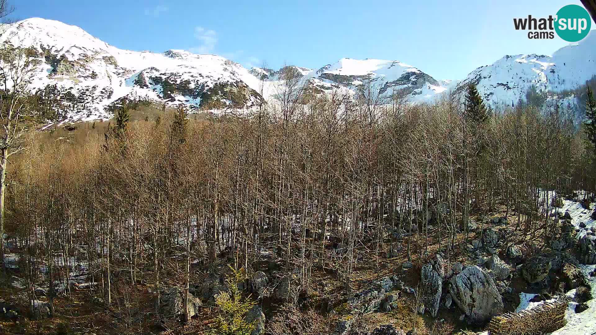 Livecam PLANINA RAZOR (1315) | vue sur Vogel et Globoko