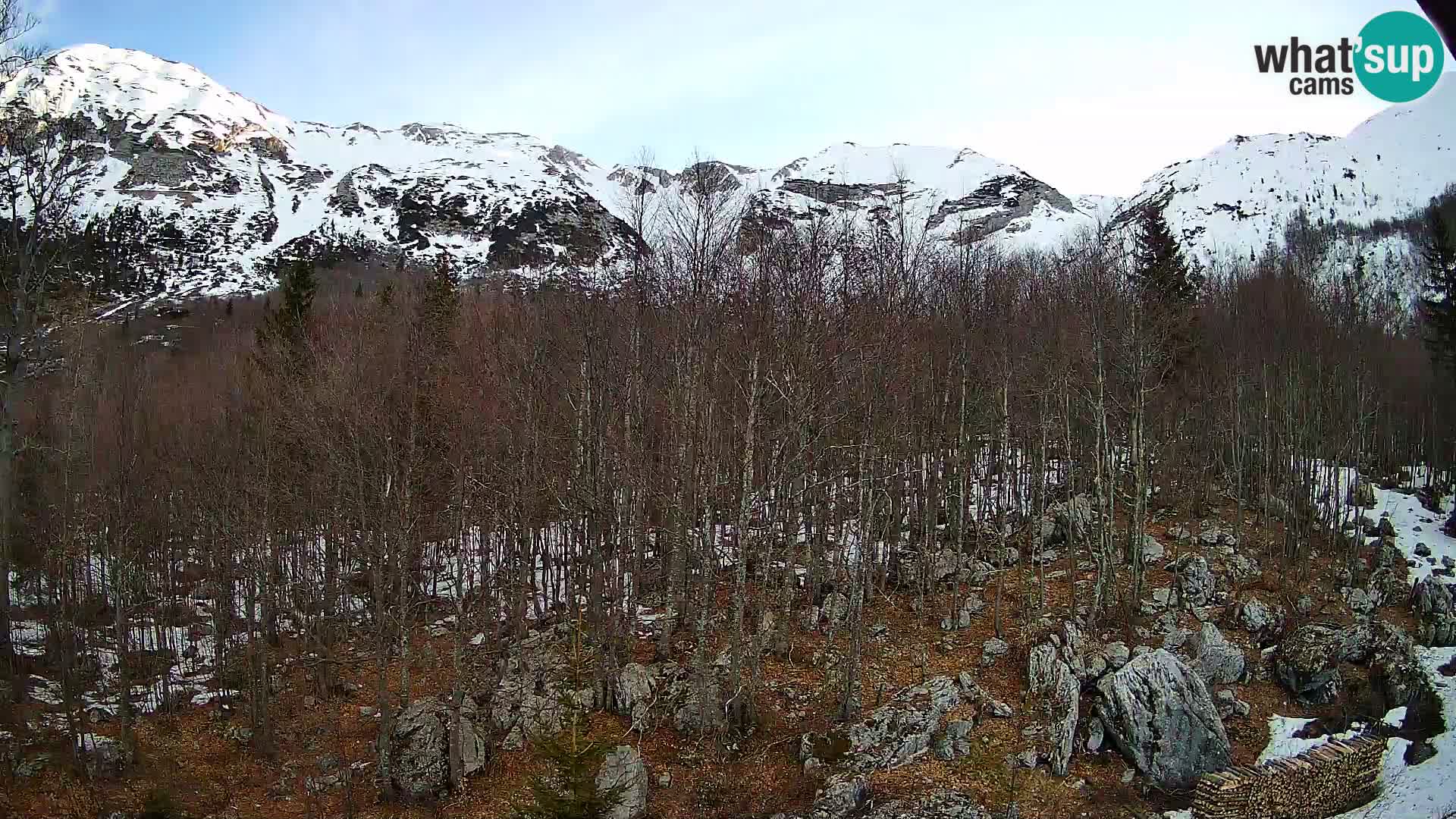 PLANINA RAZOR web kamera (1315) | pogled na Vogel i Globoko