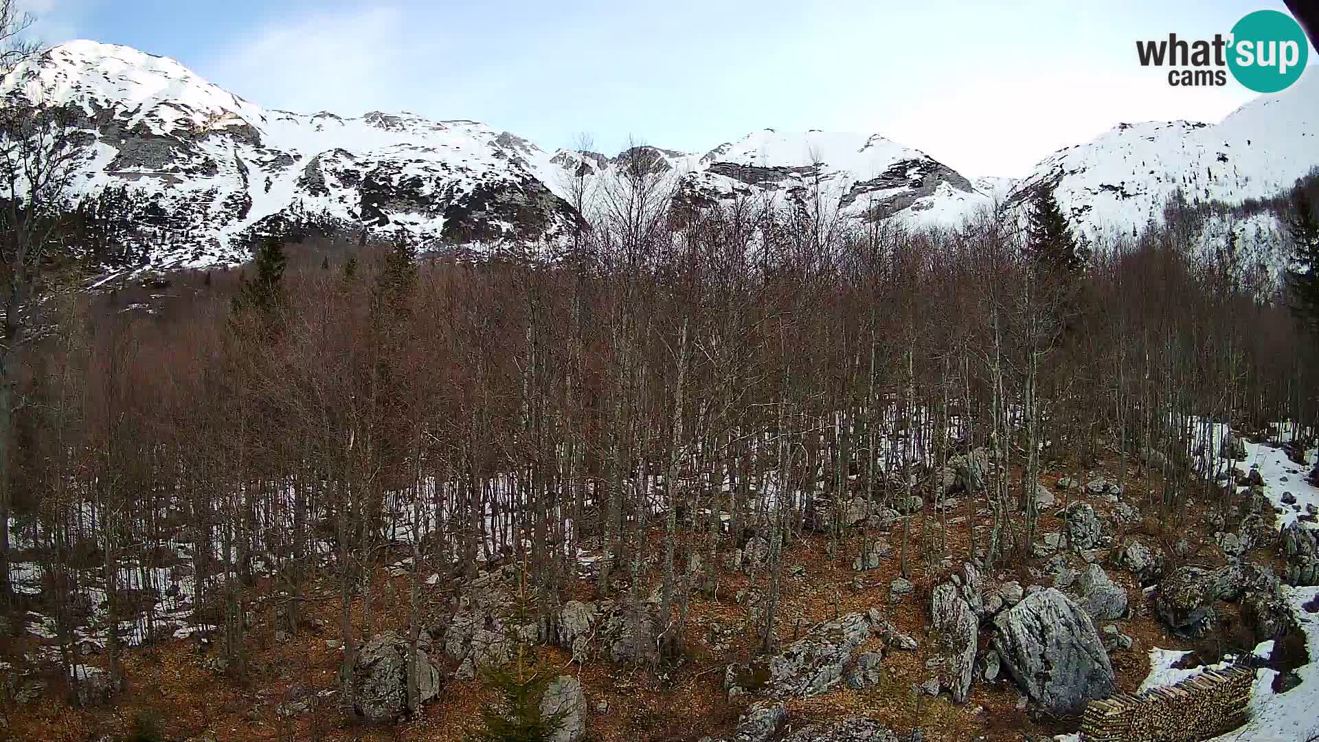 PLANINA RAZOR web kamera (1315) | pogled na Vogel i Globoko