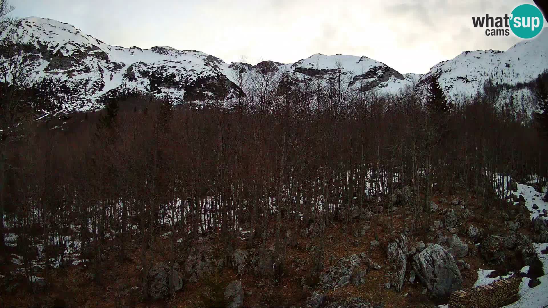 Livecam PLANINA RAZOR (1315) | vue sur Vogel et Globoko