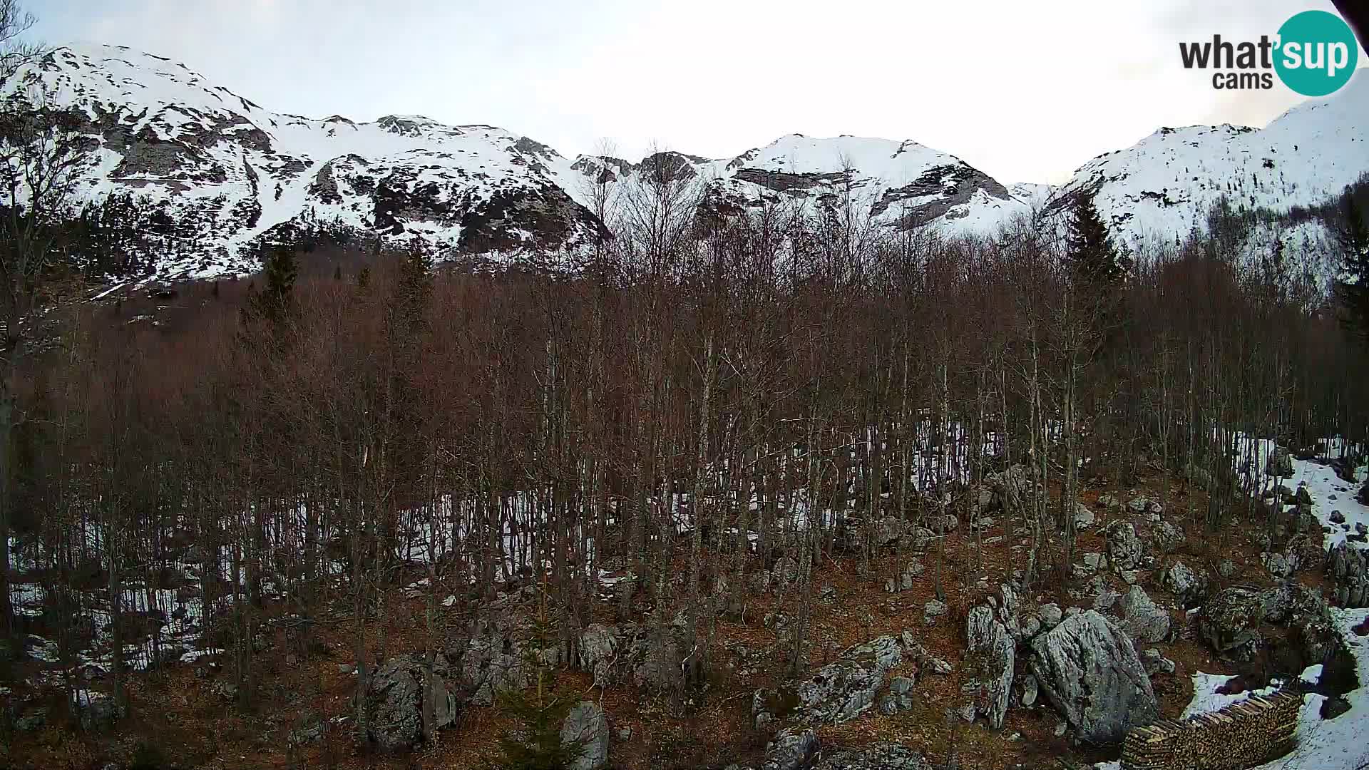 PLANINA RAZOR webcam (1315) | view to Vogel and Globoko